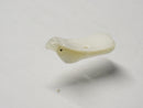 TOKO-BEADS | TOKO-BEADS |PB007-91P シェルチャーム（鳥10個パック）  14~18mm | TOKO-BEADS |PB007-91P Shell Charm (10pcs)  14~18mm Asian bead & African bead  Handmade,Lampeork,bead,asia,india,ethnic,parts,accessory,beads とんぼ玉,ビーズ,トンボ玉,アジア,インド,エスニック,手作り,パーツ,アクセサリー