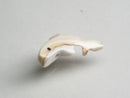 TOKO-BEADS PB007-53S Shell Charm 18mm PB007-53S シェルチャーム（イルカ） 18mm Asian bead & African bead  Handmade,Lampeork,bead,asia,india,ethnic,parts,accessory,beads とんぼ玉,ビーズ,トンボ玉,アジア,インド,エスニック,手作り,パーツ,アクセサリー