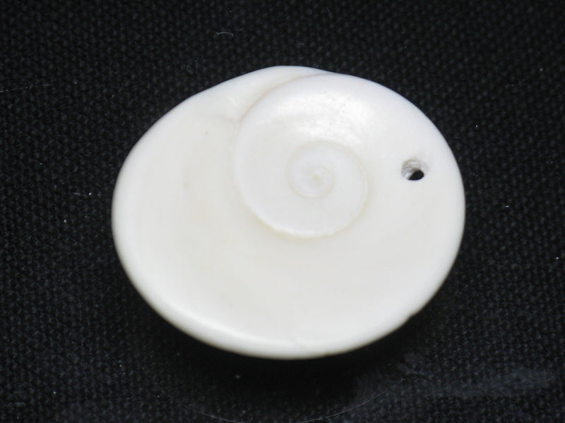 TOKO-BEADS PB008-52 Beach Shell Charm 28mm PB008-52 ビーチシェルチャーム 28mm Asian bead & African bead  Handmade,Lampeork,bead,asia,india,ethnic,parts,accessory,beads とんぼ玉,ビーズ,トンボ玉,アジア,インド,エスニック,手作り,パーツ,アクセサリー