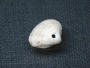 TOKO-BEADS PB008-55 Beach Shell Charm 16mm PB008-55 ビーチシェルチャーム 16mm Asian bead & African bead  Handmade,Lampeork,bead,asia,india,ethnic,parts,accessory,beads とんぼ玉,ビーズ,トンボ玉,アジア,インド,エスニック,手作り,パーツ,アクセサリー