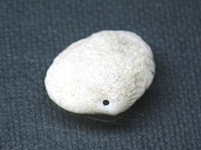 TOKO-BEADS PB008-56 Beach Shell Charm 22mm PB008-56 ビーチシェルチャーム 22mm Asian bead & African bead  Handmade,Lampeork,bead,asia,india,ethnic,parts,accessory,beads とんぼ玉,ビーズ,トンボ玉,アジア,インド,エスニック,手作り,パーツ,アクセサリー