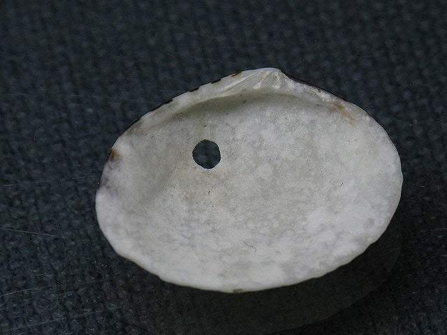 TOKO-BEADS PB008-58 Beach Shell Charm 22mm PB008-58 ビーチシェルチャーム 22mm Asian bead & African bead  Handmade,Lampeork,bead,asia,india,ethnic,parts,accessory,beads とんぼ玉,ビーズ,トンボ玉,アジア,インド,エスニック,手作り,パーツ,アクセサリー