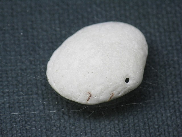 TOKO-BEADS PB008-60 Beach Shell Charm 22mm PB008-60 ビーチシェルチャーム 22mm Asian bead & African bead  Handmade,Lampeork,bead,asia,india,ethnic,parts,accessory,beads とんぼ玉,ビーズ,トンボ玉,アジア,インド,エスニック,手作り,パーツ,アクセサリー
