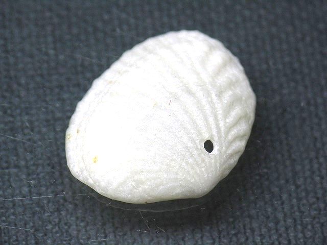 TOKO-BEADS PB008-61 Beach Shell Charm 26mm PB008-61 ビーチシェルチャーム 26mm Asian bead & African bead  Handmade,Lampeork,bead,asia,india,ethnic,parts,accessory,beads とんぼ玉,ビーズ,トンボ玉,アジア,インド,エスニック,手作り,パーツ,アクセサリー