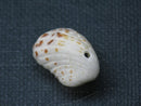 TOKO-BEADS PB008-71 Beach Shell Charm 20mm PB008-71 ビーチシェルチャーム 20mm Asian bead & African bead  Handmade,Lampeork,bead,asia,india,ethnic,parts,accessory,beads とんぼ玉,ビーズ,トンボ玉,アジア,インド,エスニック,手作り,パーツ,アクセサリー