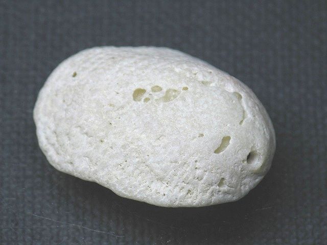 TOKO-BEADS PB008-78 Beach Shell Charm 30mm PB008-78 ビーチシェルチャーム 30mm Asian bead & African bead  Handmade,Lampeork,bead,asia,india,ethnic,parts,accessory,beads とんぼ玉,ビーズ,トンボ玉,アジア,インド,エスニック,手作り,パーツ,アクセサリー