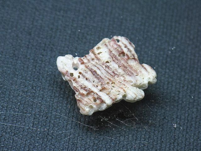 TOKO-BEADS PB008-90 Beach Shell Charm 25mm PB008-90 ビーチシェルチャーム 25mm Asian bead & African bead  Handmade,Lampeork,bead,asia,india,ethnic,parts,accessory,beads とんぼ玉,ビーズ,トンボ玉,アジア,インド,エスニック,手作り,パーツ,アクセサリー