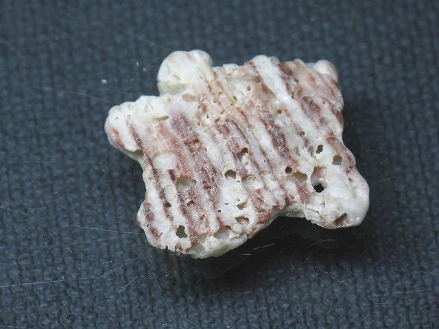 TOKO-BEADS PB008-90 Beach Shell Charm 25mm PB008-90 ビーチシェルチャーム 25mm Asian bead & African bead  Handmade,Lampeork,bead,asia,india,ethnic,parts,accessory,beads とんぼ玉,ビーズ,トンボ玉,アジア,インド,エスニック,手作り,パーツ,アクセサリー