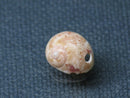 TOKO-BEADS PB008-95 Beach Shell Charm 12mm PB008-95 ビーチシェルチャーム 12mm Asian bead & African bead  Handmade,Lampeork,bead,asia,india,ethnic,parts,accessory,beads とんぼ玉,ビーズ,トンボ玉,アジア,インド,エスニック,手作り,パーツ,アクセサリー