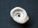 TOKO-BEADS PB008-96 Beach Shell Charm 22mm PB008-96 ビーチシェルチャーム 22mm Asian bead & African bead  Handmade,Lampeork,bead,asia,india,ethnic,parts,accessory,beads とんぼ玉,ビーズ,トンボ玉,アジア,インド,エスニック,手作り,パーツ,アクセサリー