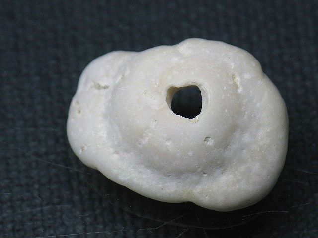 TOKO-BEADS PB008-96 Beach Shell Charm 22mm PB008-96 ビーチシェルチャーム 22mm Asian bead & African bead  Handmade,Lampeork,bead,asia,india,ethnic,parts,accessory,beads とんぼ玉,ビーズ,トンボ玉,アジア,インド,エスニック,手作り,パーツ,アクセサリー