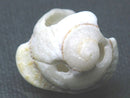 TOKO-BEADS PB008-98 Beach Shell Charm 26mm PB008-98 ビーチシェルチャーム 26mm Asian bead & African bead  Handmade,Lampeork,bead,asia,india,ethnic,parts,accessory,beads とんぼ玉,ビーズ,トンボ玉,アジア,インド,エスニック,手作り,パーツ,アクセサリー