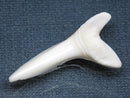 TOKO-BEADS PB009-23 Shark Tooth (Mako Shark LL) 40mm PB009-23 サメの歯（アオザメＬＬ） 40mmPB009-23 Shark Tooth (Mako Shark LL) 40mmHandmade,Lampeork,bead,asia,india,ethnic,parts,accessory,beads| TOKO-BEADS |PB009-23 Shark Tooth (Mako Shark LL) 40mm Asian bead & African bead  Handmade,Lampeork,bead,asia,india,ethnic,parts,accessory,beads とんぼ玉,ビーズ,トンボ玉,アジア,インド,エスニック,手作り,パーツ,アクセサリー