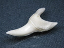 TOKO-BEADS PB009-33 Shark Tooth (Mako Shark LL) 37mm PB009-33 サメの歯（アオザメＬＬ） 37mmPB009-33 Shark Tooth (Mako Shark LL) 37mmHandmade,Lampeork,bead,asia,india,ethnic,parts,accessory,beads| TOKO-BEADS |PB009-33 Shark Tooth (Mako Shark LL) 37mm Asian bead & African bead  Handmade,Lampeork,bead,asia,india,ethnic,parts,accessory,beads とんぼ玉,ビーズ,トンボ玉,アジア,インド,エスニック,手作り,パーツ,アクセサリー