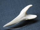 TOKO-BEADS PB009-41 Shark Tooth (Mako Shark LL) 36mm PB009-41 サメの歯（アオザメＬＬ） 36mmPB009-41 Shark Tooth (Mako Shark LL) 36mmHandmade,Lampeork,bead,asia,india,ethnic,parts,accessory,beads| TOKO-BEADS |PB009-41 Shark Tooth (Mako Shark LL) 36mm Asian bead & African bead  Handmade,Lampeork,bead,asia,india,ethnic,parts,accessory,beads とんぼ玉,ビーズ,トンボ玉,アジア,インド,エスニック,手作り,パーツ,アクセサリー