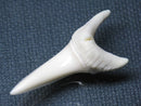 TOKO-BEADS PB009-46 Shark Tooth (Mako Shark LL) 40mm PB009-46 サメの歯（アオザメＬＬ） 40mmPB009-46 Shark Tooth (Mako Shark LL) 40mmHandmade,Lampeork,bead,asia,india,ethnic,parts,accessory,beads| TOKO-BEADS |PB009-46 Shark Tooth (Mako Shark LL) 40mm Asian bead & African bead  Handmade,Lampeork,bead,asia,india,ethnic,parts,accessory,beads とんぼ玉,ビーズ,トンボ玉,アジア,インド,エスニック,手作り,パーツ,アクセサリー