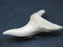 TOKO-BEADS PB009-60 Shark Tooth (Mako Shark LL) 39mm PB009-60 サメの歯（アオザメＬＬ） 39mmPB009-60 Shark Tooth (Mako Shark LL) 39mmHandmade,Lampeork,bead,asia,india,ethnic,parts,accessory,beads| TOKO-BEADS |PB009-60 Shark Tooth (Mako Shark LL) 39mm Asian bead & African bead  Handmade,Lampeork,bead,asia,india,ethnic,parts,accessory,beads とんぼ玉,ビーズ,トンボ玉,アジア,インド,エスニック,手作り,パーツ,アクセサリー