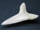 TOKO-BEADS PB009-68 Shark Tooth (Mako Shark LL) 38mm PB009-68 サメの歯（アオザメＬＬ） 38mmPB009-68 Shark Tooth (Mako Shark LL) 38mmHandmade,Lampeork,bead,asia,india,ethnic,parts,accessory,beads| TOKO-BEADS |PB009-68 Shark Tooth (Mako Shark LL) 38mm Asian bead & African bead  Handmade,Lampeork,bead,asia,india,ethnic,parts,accessory,beads とんぼ玉,ビーズ,トンボ玉,アジア,インド,エスニック,手作り,パーツ,アクセサリー