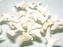 TOKO-BEADS PB009-81 Shark Tooth (Bull Shark)M10g   17~20mm PB009-81 サメの歯（オオメジロザメ）Mサイズ１０ｇ   17~20mmPB009-81 Shark Tooth (Bull Shark)M10g   17~20mmHandmade,Lampeork,bead,asia,india,ethnic,parts,accessory,beads| TOKO-BEADS |PB009-81 Shark Tooth (Bull Shark)M10g   17~20mm Asian bead & African bead  Handmade,Lampeork,bead,asia,india,ethnic,parts,accessory,beads とんぼ玉,ビーズ,トンボ玉,アジア,インド,エスニック,手作り,パーツ,アクセサリー