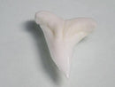 TOKO-BEADS PB009-91 Shark Tooth (Bull Shark)S10g   15~15mm PB009-91 サメの歯（メジロザメ）Sサイズ１０ｇ   15~15mmPB009-91 Shark Tooth (Bull Shark)S10g   15~15mmHandmade,Lampeork,bead,asia,india,ethnic,parts,accessory,beads| TOKO-BEADS |PB009-91 Shark Tooth (Bull Shark)S10g   15~15mm Asian bead & African bead  Handmade,Lampeork,bead,asia,india,ethnic,parts,accessory,beads とんぼ玉,ビーズ,トンボ玉,アジア,インド,エスニック,手作り,パーツ,アクセサリー