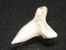 TOKO-BEADS PB012-06 Shark Tooth (Mako Shark L) 27mm PB012-06 サメの歯（アオザメ Ｌ） 27mm Asian bead & African bead  Handmade,Lampeork,bead,asia,india,ethnic,parts,accessory,beads とんぼ玉,ビーズ,トンボ玉,アジア,インド,エスニック,手作り,パーツ,アクセサリー