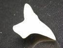 TOKO-BEADS PB012-15 Shark Tooth (Mako Shark L) 29mm PB012-15 サメの歯（アオザメ Ｌ） 29mm Asian bead & African bead  Handmade,Lampeork,bead,asia,india,ethnic,parts,accessory,beads とんぼ玉,ビーズ,トンボ玉,アジア,インド,エスニック,手作り,パーツ,アクセサリー
