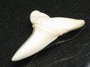 TOKO-BEADS PB012-34 Shark Tooth (Mako Shark L) 28mm PB012-34 サメの歯（アオザメ Ｌ） 28mm Asian bead & African bead  Handmade,Lampeork,bead,asia,india,ethnic,parts,accessory,beads とんぼ玉,ビーズ,トンボ玉,アジア,インド,エスニック,手作り,パーツ,アクセサリー