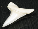 TOKO-BEADS PB012-35 Shark Tooth (Mako Shark L) 28mm PB012-35 サメの歯（アオザメ Ｌ） 28mm Asian bead & African bead  Handmade,Lampeork,bead,asia,india,ethnic,parts,accessory,beads とんぼ玉,ビーズ,トンボ玉,アジア,インド,エスニック,手作り,パーツ,アクセサリー