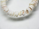 TOKO-BEADS PB014-03 Puka-Shell (strand) 6~6.5mm PB014-03 プカシェル（連） 6~6.5mm Asian bead & African bead  Handmade,Lampeork,bead,asia,india,ethnic,parts,accessory,beads とんぼ玉,ビーズ,トンボ玉,アジア,インド,エスニック,手作り,パーツ,アクセサリー