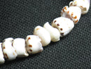 TOKO-BEADS PB014-21 Puka-Shell (West Africa) 6~7mm PB014-21 プカシェル（西アフリカ） 6~7mm Asian bead & African bead  Handmade,Lampeork,bead,asia,india,ethnic,parts,accessory,beads とんぼ玉,ビーズ,トンボ玉,アジア,インド,エスニック,手作り,パーツ,アクセサリー