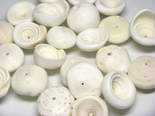 TOKO-BEADS PB014-26 Puka-Shell (strand) 22~26mm PB014-26 プカシェル（連） 22~26mm Asian bead & African bead  Handmade,Lampeork,bead,asia,india,ethnic,parts,accessory,beads とんぼ玉,ビーズ,トンボ玉,アジア,インド,エスニック,手作り,パーツ,アクセサリー