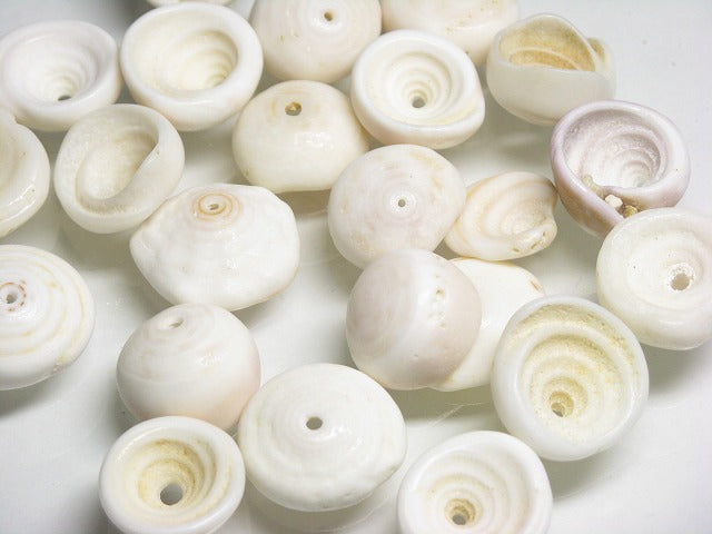 TOKO-BEADS PB014-27 Puka-Shell (strand) 16~20mm PB014-27 プカシェル（連） 16~20mm Asian bead & African bead  Handmade,Lampeork,bead,asia,india,ethnic,parts,accessory,beads とんぼ玉,ビーズ,トンボ玉,アジア,インド,エスニック,手作り,パーツ,アクセサリー