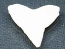 TOKO-BEADS PB015-47 Shark Tooth(Bull Shark L) 27mm PB015-47 サメの歯（オオメジロザメ Ｌ） 27mmPB015-47 Shark Tooth(Bull Shark L) 27mmHandmade,Lampeork,bead,asia,india,ethnic,parts,accessory,beads| TOKO-BEADS |PB015-47 Shark Tooth(Bull Shark L) 27mm Asian bead & African bead  Handmade,Lampeork,bead,asia,india,ethnic,parts,accessory,beads とんぼ玉,ビーズ,トンボ玉,アジア,インド,エスニック,手作り,パーツ,アクセサリー