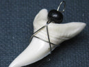TOKO-BEADS PB016-07 Shark Tooth (Maco Shark with wire LL) 37mm PB016-07 サメの歯（アオザメ ワイヤー付 LL） 37mmPB016-07 Shark Tooth (Maco Shark with wire LL) 37mmHandmade,Lampeork,bead,asia,india,ethnic,parts,accessory,beads| TOKO-BEADS |PB016-07 Shark Tooth (Maco Shark with wire LL) 37mm Asian bead & African bead  Handmade,Lampeork,bead,asia,india,ethnic,parts,accessory,beads とんぼ玉,ビーズ,トンボ玉,アジア,インド,エスニック,手作り,パーツ,アクセサリー