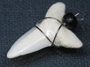 TOKO-BEADS PB016-11 Shark Tooth (Maco Shark with wire LL) 31mm PB016-11 サメの歯（アオザメ ワイヤー付 LL） 31mmPB016-11 Shark Tooth (Maco Shark with wire LL) 31mmHandmade,Lampeork,bead,asia,india,ethnic,parts,accessory,beads| TOKO-BEADS |PB016-11 Shark Tooth (Maco Shark with wire LL) 31mm Asian bead & African bead  Handmade,Lampeork,bead,asia,india,ethnic,parts,accessory,beads とんぼ玉,ビーズ,トンボ玉,アジア,インド,エスニック,手作り,パーツ,アクセサリー