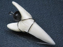 TOKO-BEADS PB016-15 Shark Tooth (Maco Shark with wire LL) 39mm PB016-15 サメの歯（アオザメ ワイヤー付 LL） 39mmPB016-15 Shark Tooth (Maco Shark with wire LL) 39mmHandmade,Lampeork,bead,asia,india,ethnic,parts,accessory,beads| TOKO-BEADS |PB016-15 Shark Tooth (Maco Shark with wire LL) 39mm Asian bead & African bead  Handmade,Lampeork,bead,asia,india,ethnic,parts,accessory,beads とんぼ玉,ビーズ,トンボ玉,アジア,インド,エスニック,手作り,パーツ,アクセサリー