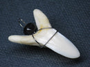 TOKO-BEADS PB016-18 Shark Tooth (Maco Shark with wire LL) 33mm PB016-18 サメの歯（アオザメ ワイヤー付 LL） 33mmPB016-18 Shark Tooth (Maco Shark with wire LL) 33mmHandmade,Lampeork,bead,asia,india,ethnic,parts,accessory,beads| TOKO-BEADS |PB016-18 Shark Tooth (Maco Shark with wire LL) 33mm Asian bead & African bead  Handmade,Lampeork,bead,asia,india,ethnic,parts,accessory,beads とんぼ玉,ビーズ,トンボ玉,アジア,インド,エスニック,手作り,パーツ,アクセサリー