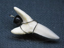 TOKO-BEADS PB016-21 Shark Tooth (Maco Shark with wire LL) 35mm PB016-21 サメの歯（アオザメ ワイヤー付 LL） 35mmPB016-21 Shark Tooth (Maco Shark with wire LL) 35mmHandmade,Lampeork,bead,asia,india,ethnic,parts,accessory,beads| TOKO-BEADS |PB016-21 Shark Tooth (Maco Shark with wire LL) 35mm Asian bead & African bead  Handmade,Lampeork,bead,asia,india,ethnic,parts,accessory,beads とんぼ玉,ビーズ,トンボ玉,アジア,インド,エスニック,手作り,パーツ,アクセサリー