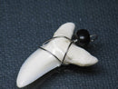 TOKO-BEADS PB016-24 Shark Tooth (Maco Shark with wire LL) 34mm PB016-24 サメの歯（アオザメ ワイヤー付 LL） 34mmPB016-24 Shark Tooth (Maco Shark with wire LL) 34mmHandmade,Lampeork,bead,asia,india,ethnic,parts,accessory,beads| TOKO-BEADS |PB016-24 Shark Tooth (Maco Shark with wire LL) 34mm Asian bead & African bead  Handmade,Lampeork,bead,asia,india,ethnic,parts,accessory,beads とんぼ玉,ビーズ,トンボ玉,アジア,インド,エスニック,手作り,パーツ,アクセサリー