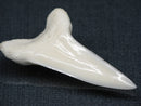 TOKO-BEADS PB017-02 Shark Tooth (Mako Shark XL) 40mm PB017-02 サメの歯（アオザメXL) 40mmPB017-02 Shark Tooth (Mako Shark XL) 40mmHandmade,Lampeork,bead,asia,india,ethnic,parts,accessory,beads| TOKO-BEADS |PB017-02 Shark Tooth (Mako Shark XL) 40mm Asian bead & African bead  Handmade,Lampeork,bead,asia,india,ethnic,parts,accessory,beads とんぼ玉,ビーズ,トンボ玉,アジア,インド,エスニック,手作り,パーツ,アクセサリー