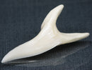 TOKO-BEADS PB017-11 Shark Tooth (Mako Shark XL) 42mm PB017-11 サメの歯（アオザメXL) 42mmPB017-11 Shark Tooth (Mako Shark XL) 42mmHandmade,Lampeork,bead,asia,india,ethnic,parts,accessory,beads| TOKO-BEADS |PB017-11 Shark Tooth (Mako Shark XL) 42mm Asian bead & African bead  Handmade,Lampeork,bead,asia,india,ethnic,parts,accessory,beads とんぼ玉,ビーズ,トンボ玉,アジア,インド,エスニック,手作り,パーツ,アクセサリー