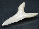 TOKO-BEADS PB017-12 Shark Tooth (Mako Shark XL) 42mm PB017-12 サメの歯（アオザメXL) 42mmPB017-12 Shark Tooth (Mako Shark XL) 42mmHandmade,Lampeork,bead,asia,india,ethnic,parts,accessory,beads| TOKO-BEADS |PB017-12 Shark Tooth (Mako Shark XL) 42mm Asian bead & African bead  Handmade,Lampeork,bead,asia,india,ethnic,parts,accessory,beads とんぼ玉,ビーズ,トンボ玉,アジア,インド,エスニック,手作り,パーツ,アクセサリー
