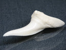 TOKO-BEADS PB017-19 Shark Tooth (Mako Shark XL) 42mm PB017-19 サメの歯（アオザメXL) 42mmPB017-19 Shark Tooth (Mako Shark XL) 42mmHandmade,Lampeork,bead,asia,india,ethnic,parts,accessory,beads| TOKO-BEADS |PB017-19 Shark Tooth (Mako Shark XL) 42mm Asian bead & African bead  Handmade,Lampeork,bead,asia,india,ethnic,parts,accessory,beads とんぼ玉,ビーズ,トンボ玉,アジア,インド,エスニック,手作り,パーツ,アクセサリー