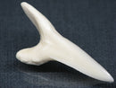 TOKO-BEADS PB017-20 Shark Tooth (Mako Shark XL) 42mm PB017-20 サメの歯（アオザメXL) 42mmPB017-20 Shark Tooth (Mako Shark XL) 42mmHandmade,Lampeork,bead,asia,india,ethnic,parts,accessory,beads| TOKO-BEADS |PB017-20 Shark Tooth (Mako Shark XL) 42mm Asian bead & African bead  Handmade,Lampeork,bead,asia,india,ethnic,parts,accessory,beads とんぼ玉,ビーズ,トンボ玉,アジア,インド,エスニック,手作り,パーツ,アクセサリー