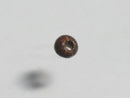 TOKO-BEADS PW004-09S Palm wood bead 2.5mm PW004-09S ココナッツビーズ 2.5mm Asian bead & African bead  Handmade,Lampeork,bead,asia,india,ethnic,parts,accessory,beads とんぼ玉,ビーズ,トンボ玉,アジア,インド,エスニック,手作り,パーツ,アクセサリー