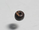TOKO-BEADS PW004-11S Palm wood bead 5mm PW004-11S ココナッツビーズ 5mm Asian bead & African bead  Handmade,Lampeork,bead,asia,india,ethnic,parts,accessory,beads とんぼ玉,ビーズ,トンボ玉,アジア,インド,エスニック,手作り,パーツ,アクセサリー