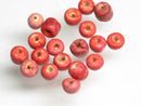 TOKO-BEADS PW201-03P Palmtree Seed bead (20pcs) 3.5~4mm PW201-03P ココナッツシードビーズ(20個パック) 3.5~4mm Asian bead & African bead  Handmade,Lampeork,bead,asia,india,ethnic,parts,accessory,beads とんぼ玉,ビーズ,トンボ玉,アジア,インド,エスニック,手作り,パーツ,アクセサリー