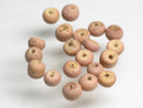 TOKO-BEADS PW201-01P Palmtree Seed bead (20pcs) 3.5~4mm PW201-01P ココナッツシードビーズ(20個パック) 3.5~4mm Asian bead & African bead  Handmade,Lampeork,bead,asia,india,ethnic,parts,accessory,beads とんぼ玉,ビーズ,トンボ玉,アジア,インド,エスニック,手作り,パーツ,アクセサリー