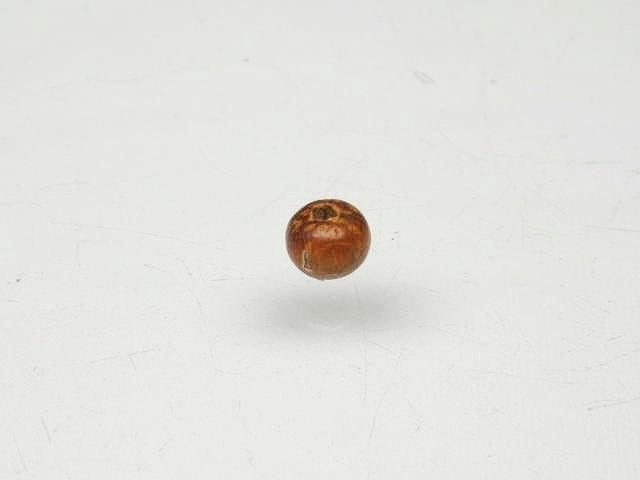 TOKO-BEADS PW301-02S Wooden bead 4.5mm PW301-02S ウッドビーズ 4.5mm Asian bead & African bead  Handmade,Lampeork,bead,asia,india,ethnic,parts,accessory,beads とんぼ玉,ビーズ,トンボ玉,アジア,インド,エスニック,手作り,パーツ,アクセサリー
