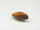 TOKO-BEADS PW301-11S Wooden bead 32mm PW301-11S ウッドビーズ 32mm Asian bead & African bead  Handmade,Lampeork,bead,asia,india,ethnic,parts,accessory,beads とんぼ玉,ビーズ,トンボ玉,アジア,インド,エスニック,手作り,パーツ,アクセサリー